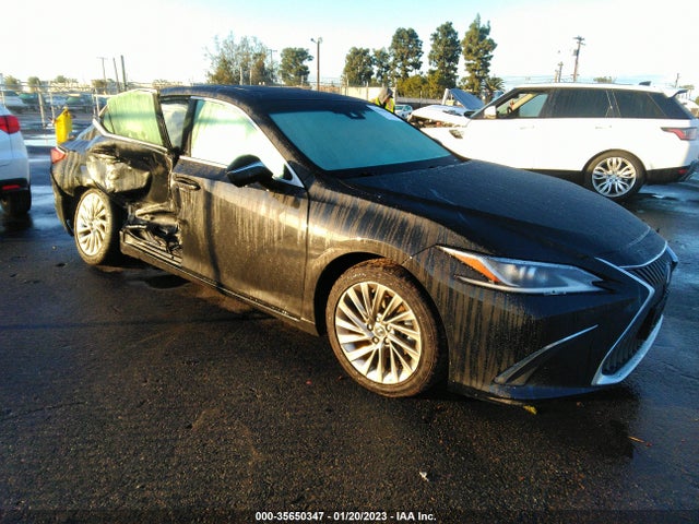 2019 Lexus ES, VIN: JTHB21B12K2012574