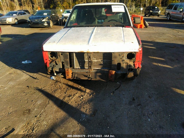 1991 CHEVROLET S TRUCK S10 VIN: 1GCCS14R9M8206513