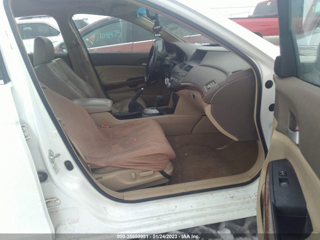 2009 HONDA ACCORD SDN EX-L VIN: 1HGCP36899A041260