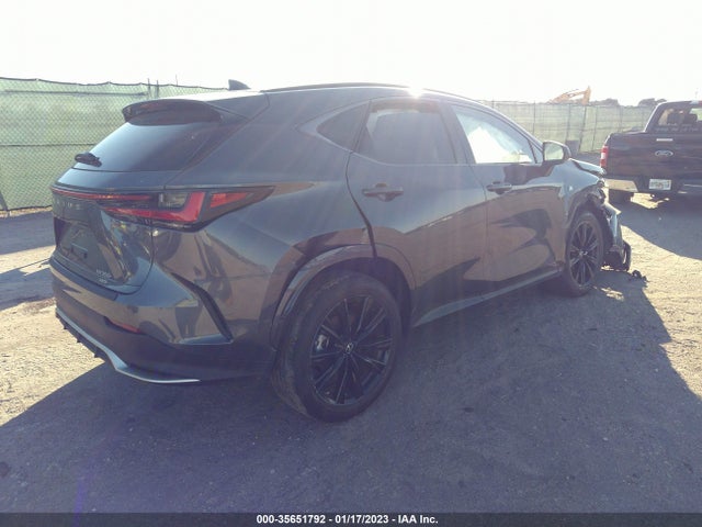 2022 Lexus NX, VIN: JTJKGCEZ1N2006329