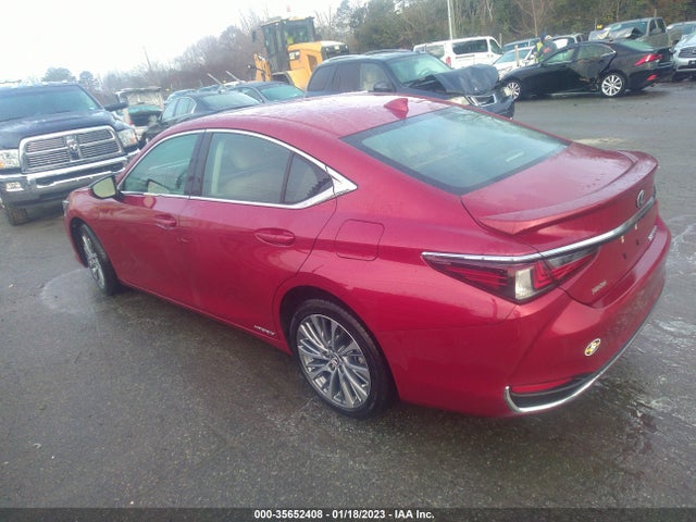 2020 Lexus ES, VIN: 58AD21B10LU011881