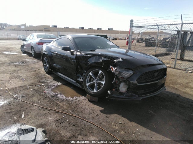2016 1FA6P8AM7G5318979 main image