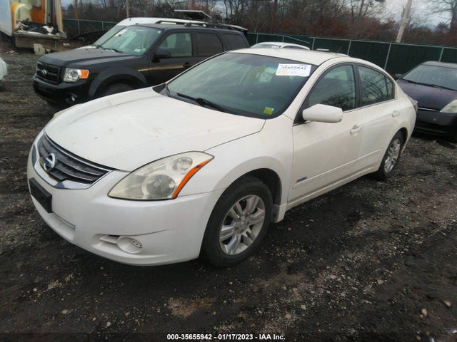 2010 NISSAN ALTIMA HYBRID VIN: 1N4CL2AP1AC160941