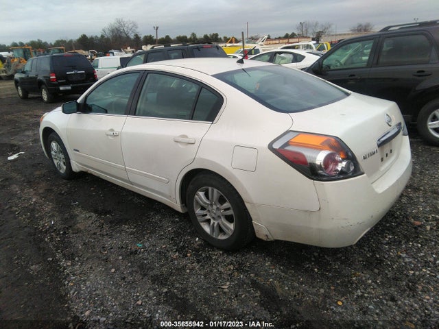 2010 NISSAN ALTIMA HYBRID VIN: 1N4CL2AP1AC160941