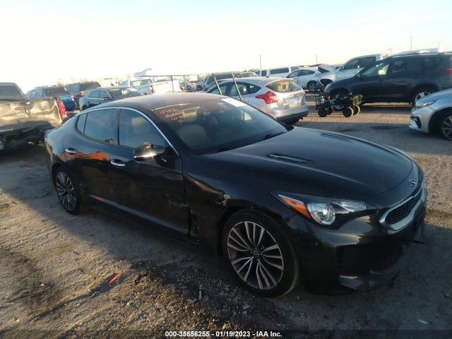 2019 Kia Stinger, VIN: KNAE15LA8K6049528