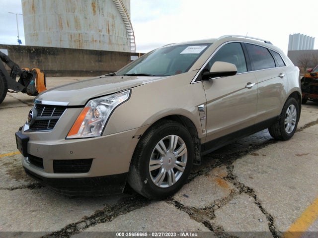 Cadillac Srx Luxury Collection 2011 3GYFNAEY0BS679967 Image 2