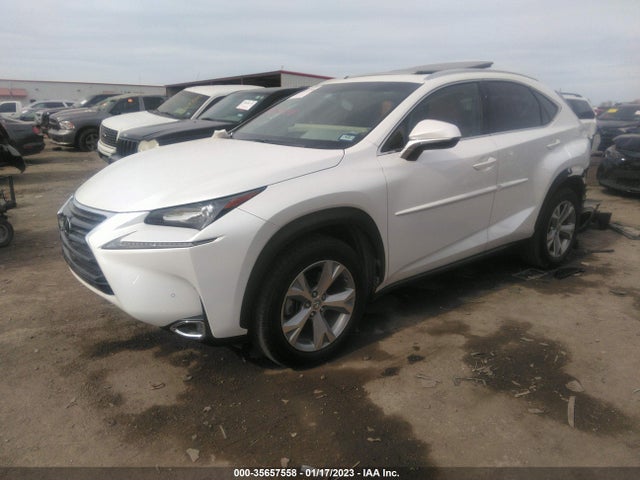 JTJYARBZXH2052362 Lexus Nx Nx Turbo
