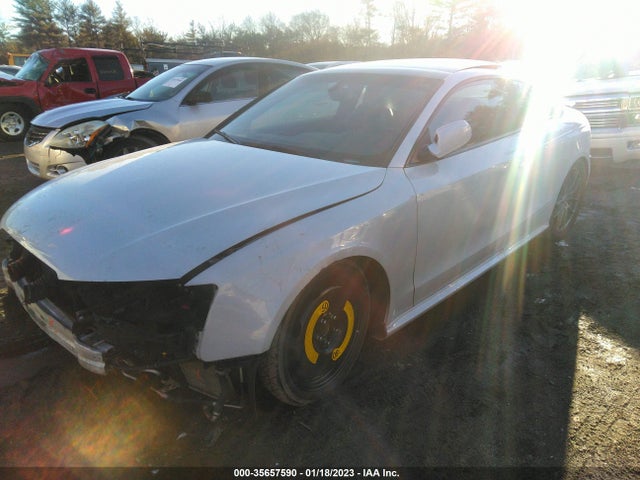 WUAC6AFR2DA902272 Audi RS 5