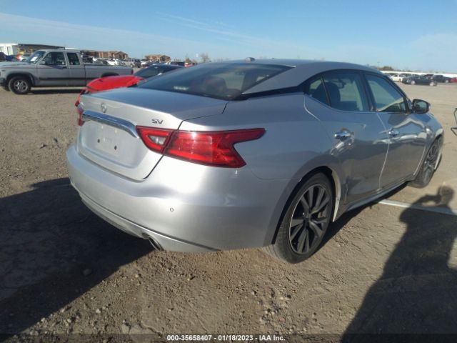 1N4AA6AP6JC380984 Nissan MAXIMA SV