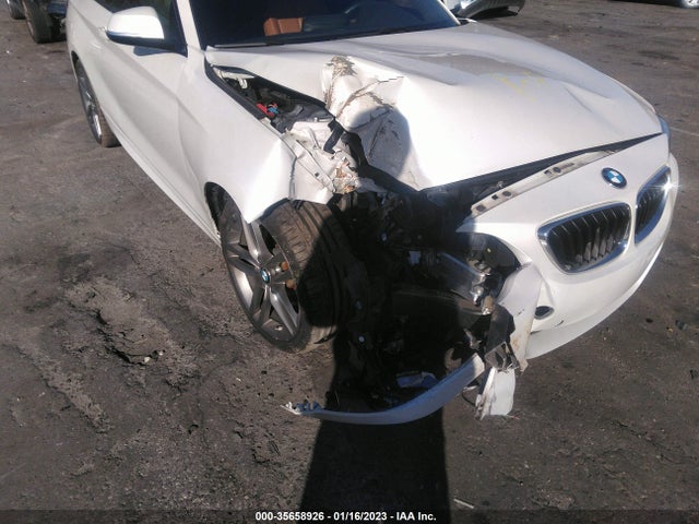 2018 BMW 2 Series, VIN: WBA2J1C56JVD09415