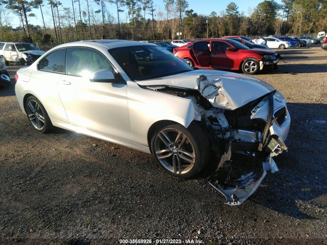 2018 BMW 2 Series, VIN: WBA2J1C56JVD09415