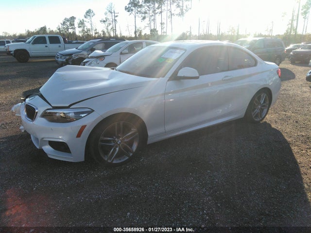 2018 BMW 2 Series, VIN: WBA2J1C56JVD09415
