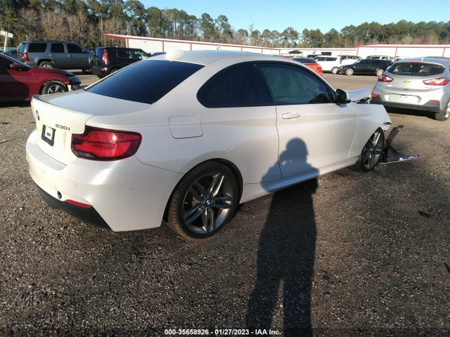 2018 BMW 2 Series, VIN: WBA2J1C56JVD09415