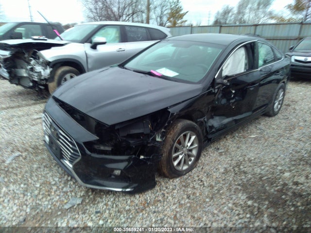 2019 Hyundai Sonata, VIN: 5NPE24AF7KH750205
