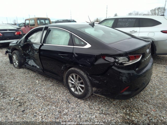 2019 Hyundai Sonata, VIN: 5NPE24AF7KH750205