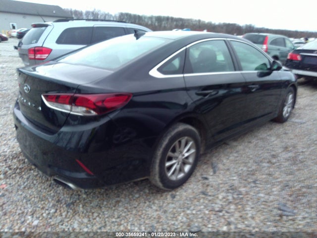 2019 Hyundai Sonata, VIN: 5NPE24AF7KH750205