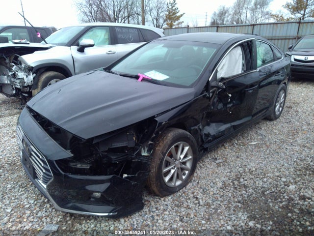 2019 Hyundai Sonata, VIN: 5NPE24AF7KH750205