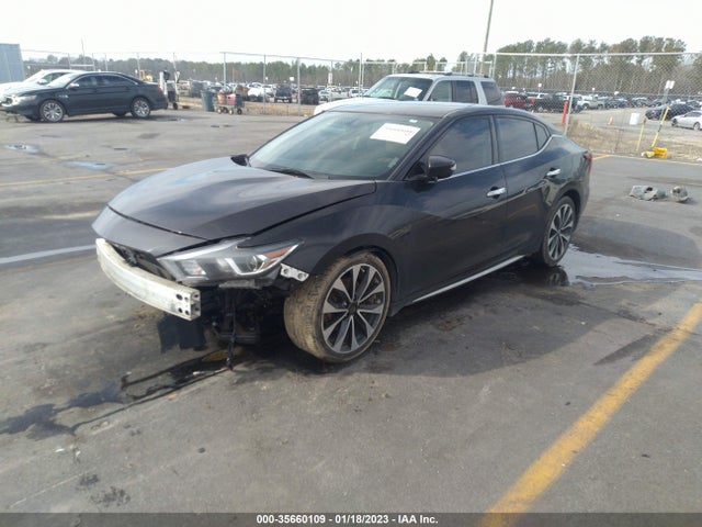 Nissan Maxima 2016 1N4AA6AP1GC446902 Image 2