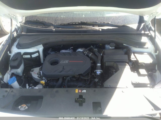 2020 Hyundai Santa Fe, VIN: 5NMS5CAA9LH289029