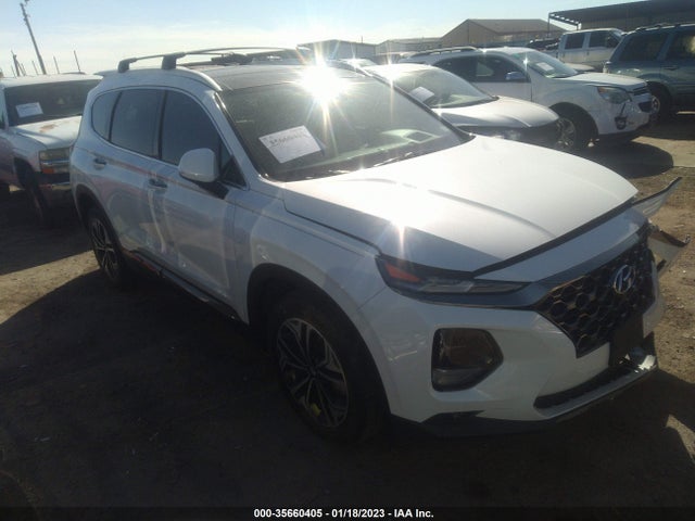 2020 Hyundai Santa Fe, VIN: 5NMS5CAA9LH289029