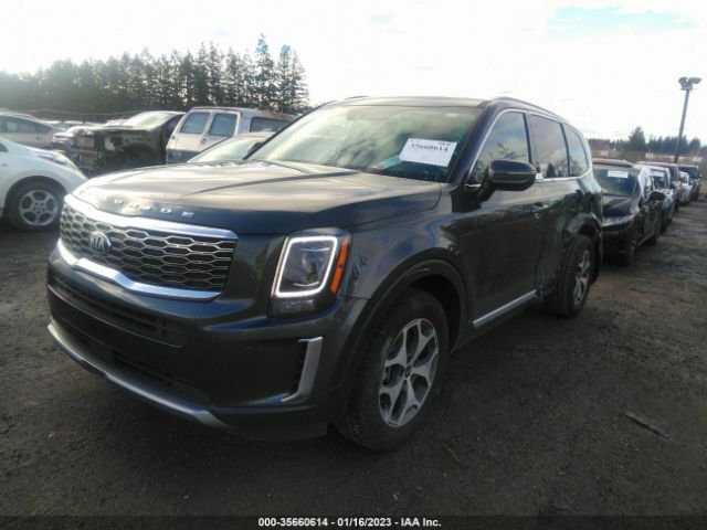 5XYP34HC5MG150908 KIA Telluride Ex