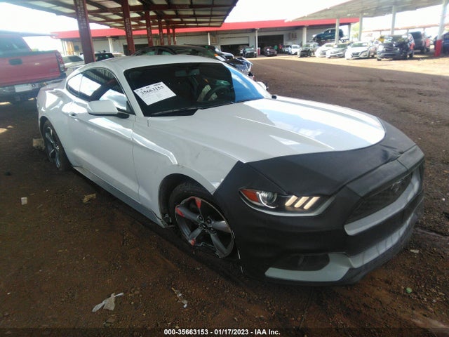 2015 Ford Fastback, VIN: 1FA6P8AM1F5383681