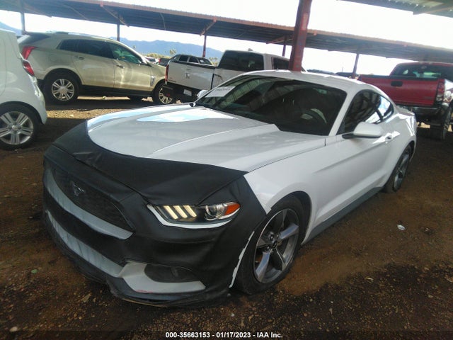 2015 Ford Fastback, VIN: 1FA6P8AM1F5383681