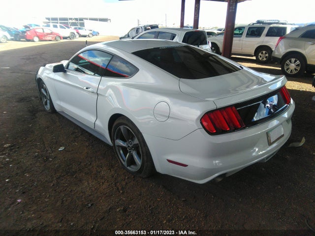 2015 Ford Fastback, VIN: 1FA6P8AM1F5383681