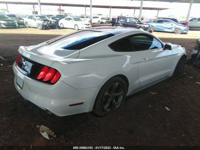 2015 Ford Fastback, VIN: 1FA6P8AM1F5383681