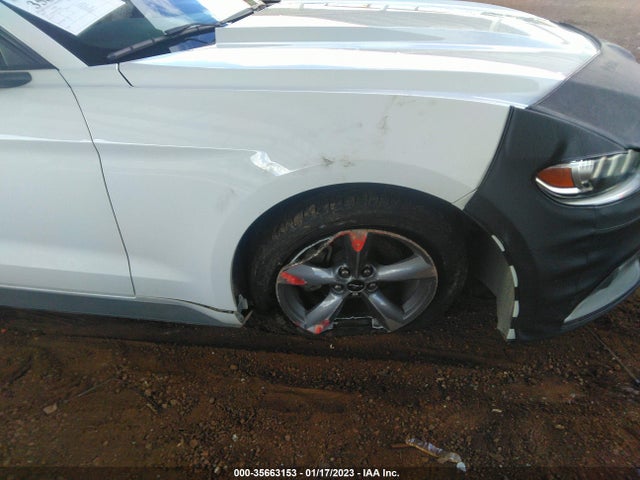 2015 Ford Fastback, VIN: 1FA6P8AM1F5383681