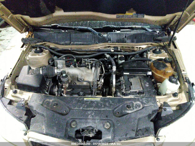 2006 PONTIAC TORRENT VIN: 2CKDL63F366129788