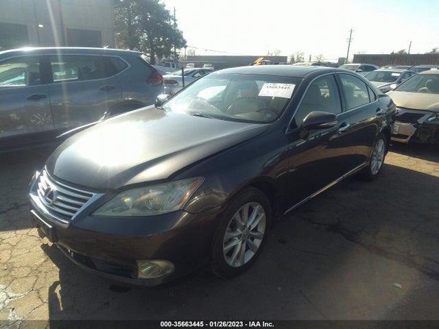 Lexus ES 350 2010 JTHBK1EG6A2345990 Image 2