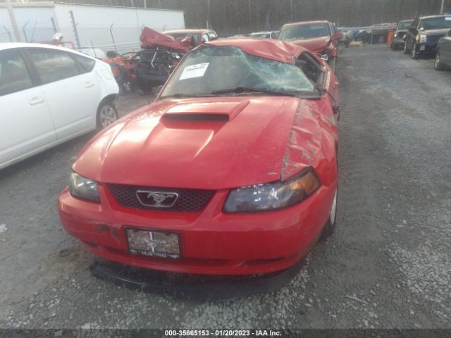2003 FORD MUSTANG GT DELUXE VIN: 1FAFP42X13F448648