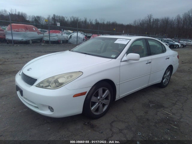 2005 LEXUS ES 330 VIN: JTHBA30G655125114