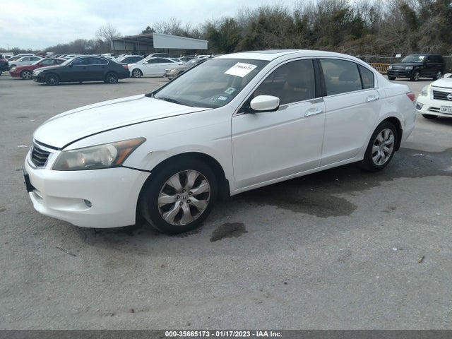 2010 Honda Accord Sdn Ex-l მანქანა იყიდება აუქციონზე, vin: 5KBCP3F88AB011730, აუქციონის ნომერი: 35665173