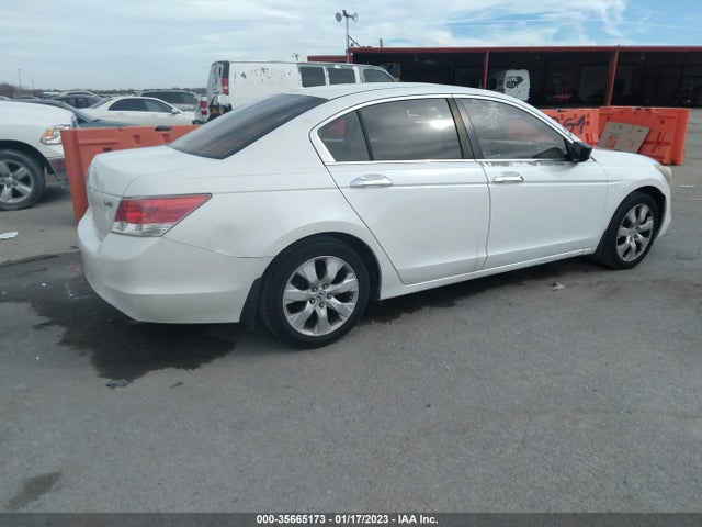 2010 Honda Accord Sdn Ex-l მანქანა იყიდება აუქციონზე, vin: 5KBCP3F88AB011730, აუქციონის ნომერი: 35665173
