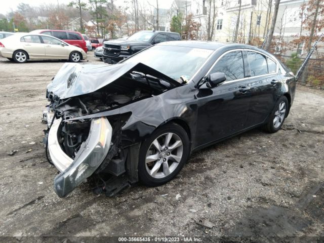 19UUA8F21DA012567 Acura TL