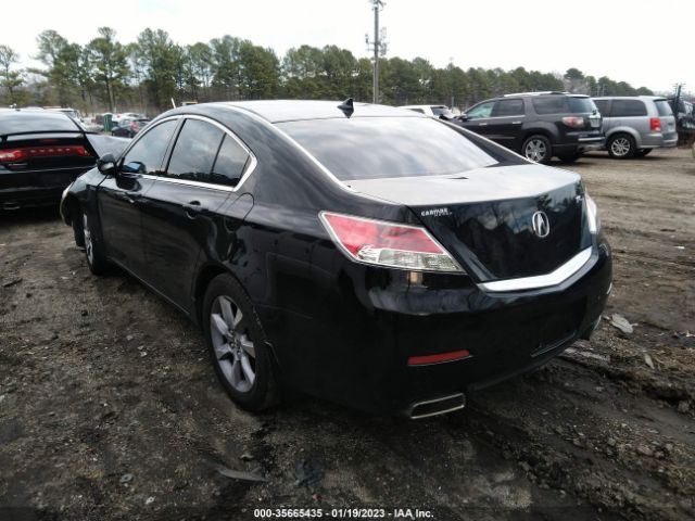 19UUA8F21DA012567 Acura TL
