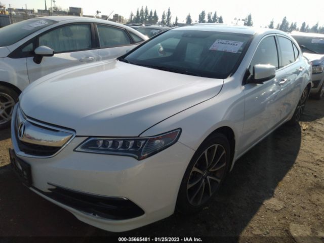 19UUB3F56FA005837 Acura Tlx V6 Tech
