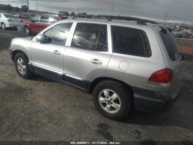 2005 HYUNDAI SANTA FE GLS/LX VIN: KM8SC13E55U954381
