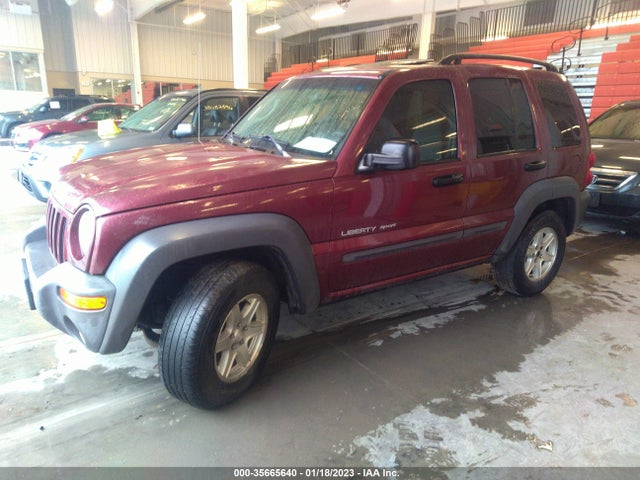 2003 JEEP LIBERTY SPORT VIN: 1J4GL48K13W633167