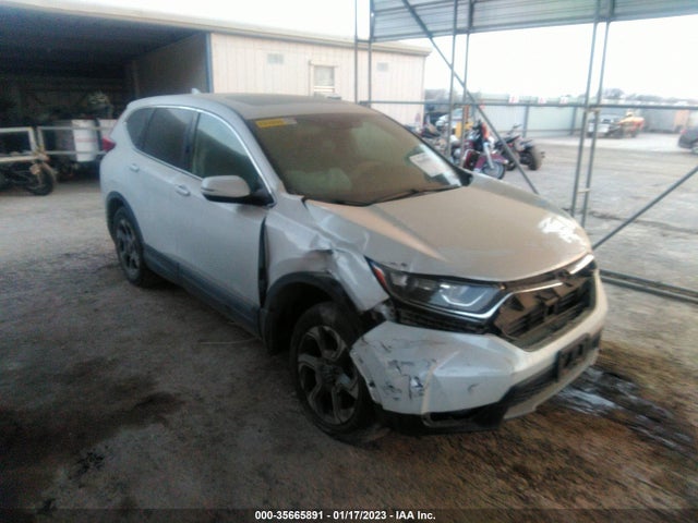 2019 5J6RW2H56KL030472 main image