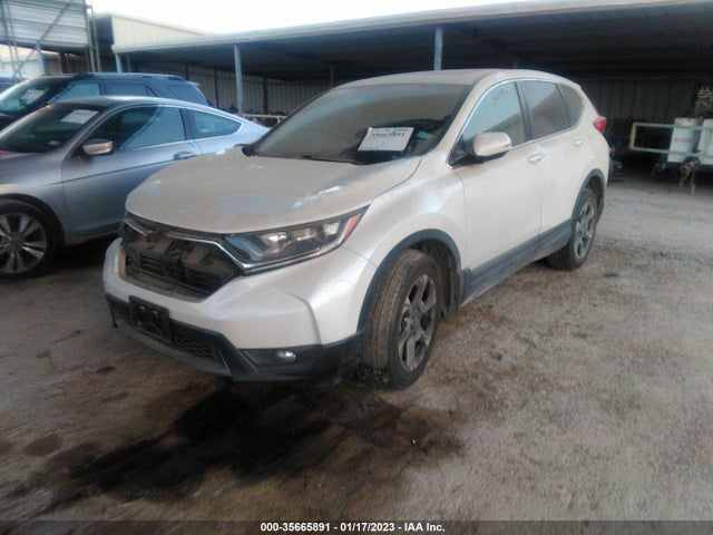 Honda CR-V EX 2019 5J6RW2H56KL030472 Image 2