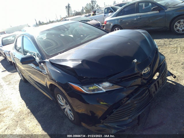 2019 Toyota Camry, VIN: 4T1B31HKXKU508995