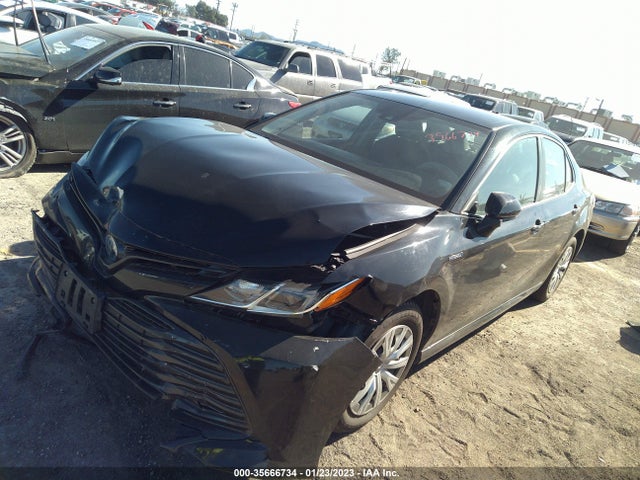2019 Toyota Camry, VIN: 4T1B31HKXKU508995