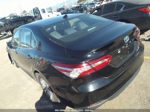 2019 Toyota Camry, VIN: 4T1B31HKXKU508995