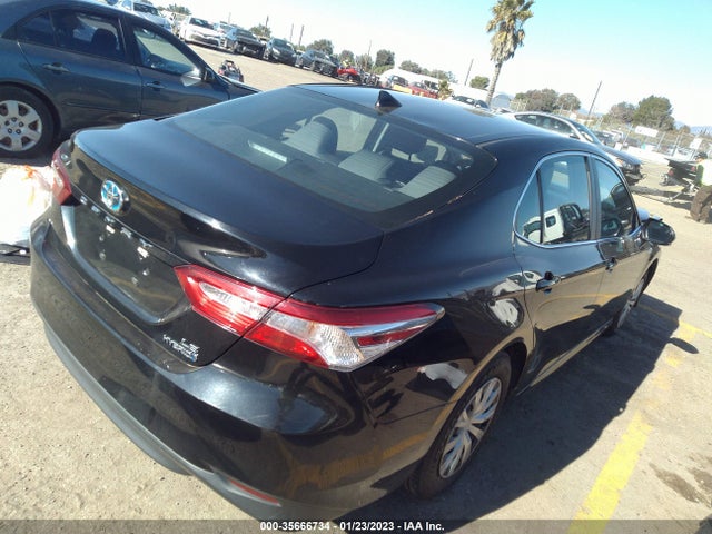 2019 Toyota Camry, VIN: 4T1B31HKXKU508995