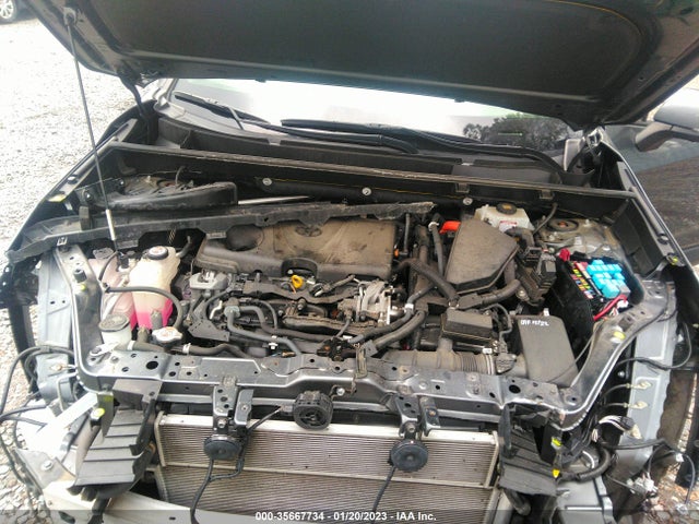 2019 Toyota RAV4, VIN: JTMDWRFV2KD508859