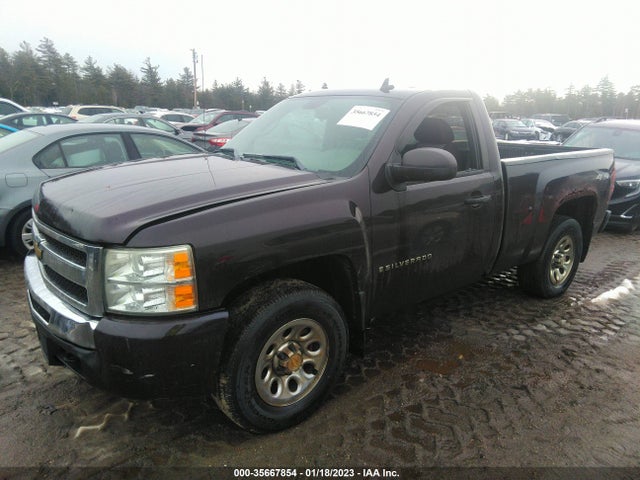 2009 CHEVROLET SILVERADO 1500 WORK TRUCK VIN: 1GCEK14C19Z144417