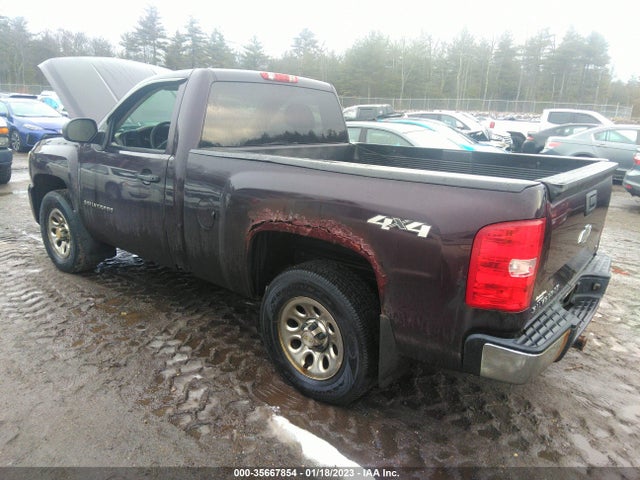 2009 CHEVROLET SILVERADO 1500 WORK TRUCK VIN: 1GCEK14C19Z144417